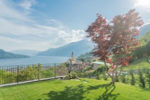 un árbol en un campo junto a un cuerpo de agua en Valarin Elite Lake Villa by Rentallcomo, en Vercana