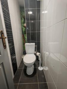 Un baño con un inodoro blanco en una cabina. en Levogien, en Hagécourt