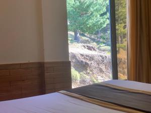 1 dormitorio con una gran ventana con vistas a un árbol en Green Executive Hotel, en Nathia Gali 7 fotos más