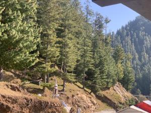 Una vista de una colina con árboles y una carretera. en Green Executive Hotel, en Nathia Gali