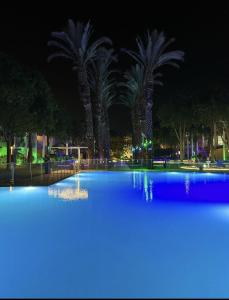 Πισίνα στο ή κοντά στο רויאל דרים אילת +4 φωτογραφίες