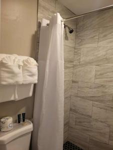a bathroom with a shower with a white shower curtain at Venice Inn Motel in Venice +21 photos