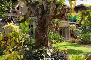 Κήπος έξω από το Pura Vida Boutique Apartments