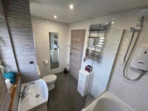 a bathroom with a toilet and a sink and a shower at The Mountain Lake in Fort William +38 photos