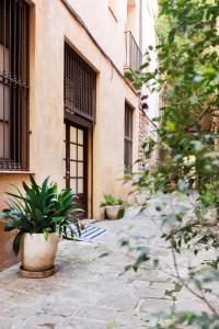 un edificio con una maceta en un patio en Portal Del Angel Barcelona Apartment, en Barcelona