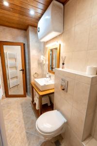 a bathroom with a toilet and a sink at Apart house EMA 2 in Bansko