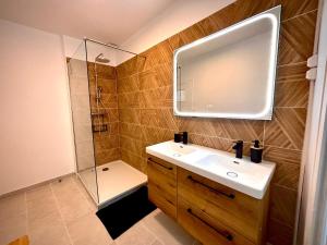 une salle de bain avec un lavabo et une douche avec un miroir dans l'établissement La bohème du clocher - Cosy calme hyper-centre 2 à 6 pers, à Bergerac