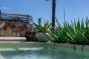 Bazén v ubytování Teva Tulum, Aldea Zamá nebo v jeho okolí