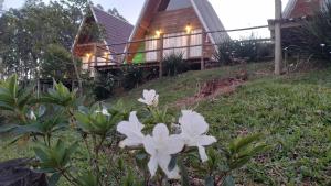 a house on a hill with flowers in front of it at CascataDiamantePousada in Laurentino +23 photos