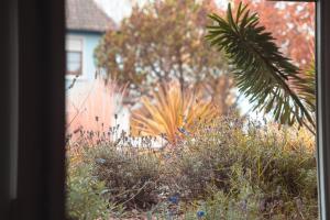 Elle offre une vue sur un jardin avec des plantes et une maison. dans l'établissement La Casa Néo, à Stella-Plage