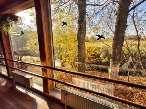 a window with birds flying in the sky at Sodyba prie Mūšos in Pamūšis