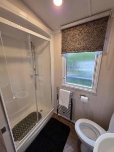 a bathroom with a shower and a toilet and a window at 'By The Stream' 60 The Beeches in Prenteg +6 photos