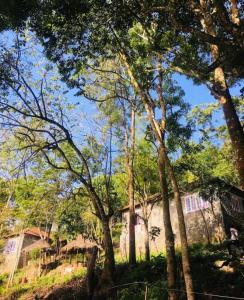 a group of trees in front of a building at Jungle retreat waterfalls in Kodaikānāl