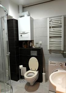 une salle de bains avec toilettes et lavabo dans l'établissement Apartament dwupoziomowy Dom na patio Kościuszki self-check-in, à Katowice 34 autres photos