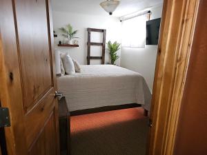 a small bedroom with a bed and a window at Alpenglow One Bedroom One Bath – A09 in Ouray