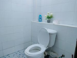a bathroom with a toilet with a plant on a shelf at Cutie Coastal Studio in Mombasa
