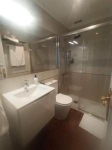 a bathroom with a toilet and a sink and a shower at Apartamento con gran terraza in San Vicente de la Barquera