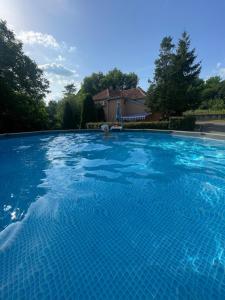 a large swimming pool with blue water at Bosa House in Belgrade