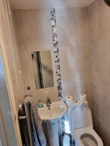 a small bathroom with a toilet and a sink at Rock Ridge Villa in Abertillery +24 photos