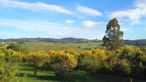 vistas a un campo con árboles y colinas en Cabaña La Resolana, en Tandil 8 fotos más