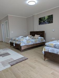 a bedroom with two beds and a rug at Rivera Raška in Raška +73 photos