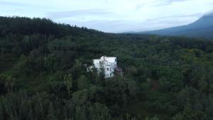 a white house in the middle of a forest at The Inchara Vista in Chikmagalūr
