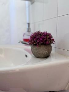 un vase avec des fleurs violettes posé sur un évier dans l'établissement El Caburé - Casa de Campo, à Young 56 autres photos