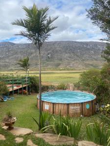 a hot tub in a yard with a palm tree at Quintal da prainha Bar - pousada simples-beira da lagoa in Santana do Riacho
