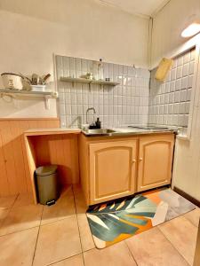 une petite cuisine avec un évier et un comptoir dans l'établissement Cascade et Paille-en-queue - Studio, à Hell-Bourg