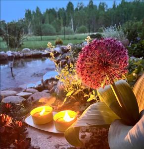 Dos velas y una flor en un jardín con estanque. en Glempings Anemones, en Plieņciems