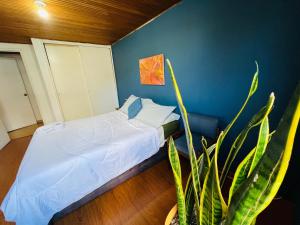 a bedroom with a bed and a potted plant at Best Habitaciones junto a Clinica Santa Fe in Bogotá