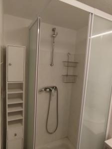 a shower in a bathroom with a glass shower backdoor at Alt'à Luz, Duplex 2 étoiles, 4 Pers , Ménage inclus in Luz-Saint-Sauveur +20 photos