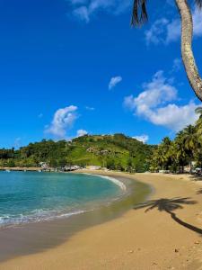 Příroda nedaleko vily