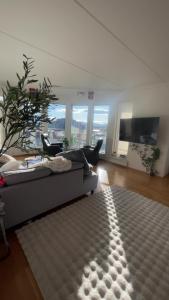 a living room with a couch and a rug at privat room in penthouse Beautiful wiew in the heart of city center in Alta