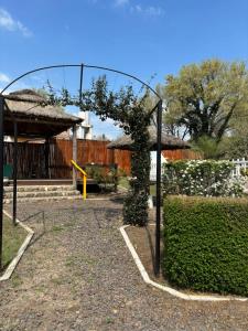 une pergola avec une vigne grimpante dans un jardin dans l'établissement Cabañas La Lila, à Santa Rosa de Calamuchita
