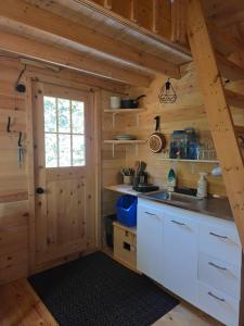 Saint-OnésimeにあるLa Taniere du Renardの窓のある丸太小屋のキッチン