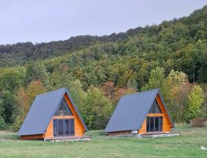 two houses in a field in front of a mountain at Korijeni in Šavnik