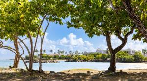 a beach with trees and buildings in the background at AQUA Terrazas 6&7 3BR Fun & Dining by the Beach in Mameyal