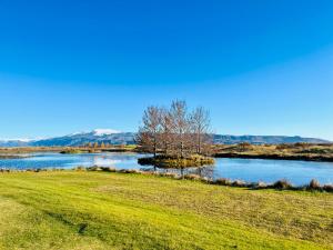 ハヴォルスヴォルールにあるホテル エイヤフィヤトラヨークトルの川の脇の畑の木