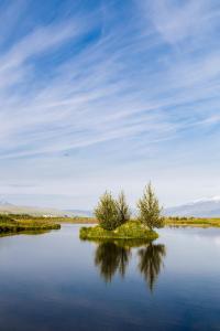 ハヴォルスヴォルールにあるホテル エイヤフィヤトラヨークトルの湖の中の島の木々