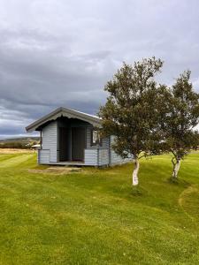 a small house in a field with a tree at Hellisholar Cottages in Hvolsvöllur