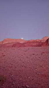 Φωτογραφία από το άλμπουμ του Ayed Wadi Rum camp σε Ουάντι Ραμ