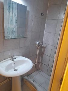 a bathroom with a sink and a shower at Garsoniera in Ploieşti