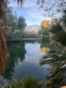 a lake with trees and mountains in the background at Reserve The Entire Ranch up to 28 guests in Desert Hot Springs