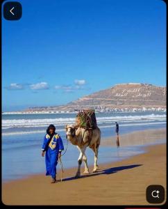 Gallery image of Appartement Deluxe à côté de souq elhad in Agadir