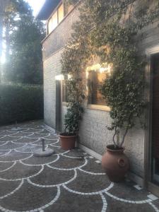 Zahrada ubytování Grottaferrata Haven