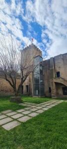 a building with a tree in front of it at Pérola Azul de Alter do Chão in Alter do Chão
