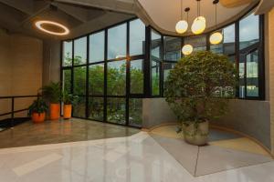 a lobby with a large window and a potted plant at Hotel Boutique Obelisco in Medellín