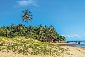 una spiaggia sabbiosa con palme e l'oceano di Projeto ajuda o seu próximo a Irati