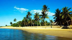 una spiaggia con palme e acqua di Projeto ajuda o seu próximo a Irati
